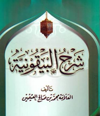 صورة القسم الجديد 1